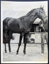 Load image into Gallery viewer, 1959 New Providence Type 1 Photo Woodbine Racetrack Canadian Triple Crown VTG