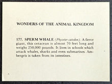 Load image into Gallery viewer, 1950s Wonders Of The Animal Kingdom Cards Set Of 400 With 1 Wrapper Vintage