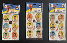 Load image into Gallery viewer, 1983-84 Funmate NHL Hockey Stickers 126 Player Set Vintage Sports Album