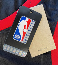 Load image into Gallery viewer, Fred VanVleet Autographed Toronto Raptors Swingman Basketball Jersey Signed COA