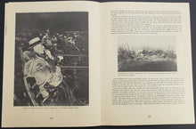 Load image into Gallery viewer, 1976 Tiger Stadium History Richard J Moss Publication Detroit Tigers Baseball
