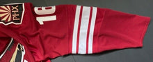Load image into Gallery viewer, Mike York Phoenix Coyotes Game Issued Hockey Jersey NHL Team LOA Reebok