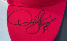 Load image into Gallery viewer, Exclusive listing for femx240