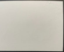 Load image into Gallery viewer, Christian Vazquez Boston Red Sox Game-Used Cardstock Locker Name Plate MLB Holo