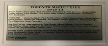 Load image into Gallery viewer, Toronto Maple Leafs 2013/14 Team Photo Framed NHL Hockey