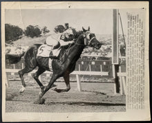 Load image into Gallery viewer, 45681561

