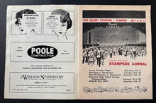 Load image into Gallery viewer, 43690144
