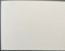 Load image into Gallery viewer, Jake Diekman Texas Rangers Game-Used 2015 ALDS Game 5 Locker Name Plate MLB Holo

