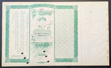 Load image into Gallery viewer, 43876575
