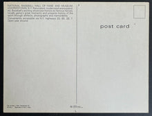 Load image into Gallery viewer, 43998193
