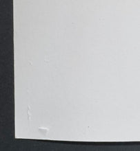 Load image into Gallery viewer, 45172685
