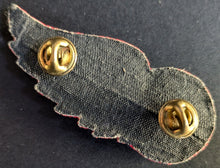 Load image into Gallery viewer, 1970 Detroit Red Wings Vintage Hockey Lapel Pinback Made With Metal Threads NHL
