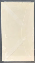 Load image into Gallery viewer, 47772095
