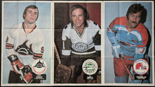 Load image into Gallery viewer, 1973-74 World Hockey Association Complete Set Of 20 Vintage Posters Gordie Howe
