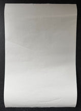 Load image into Gallery viewer, 47332728
