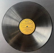 44541331