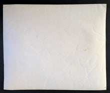 Load image into Gallery viewer, 47092485
