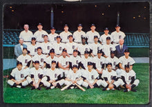 Load image into Gallery viewer, 1964 Detroit Tigers Vintage Full Sized Team Photo Pennant MLB Baseball Banner
