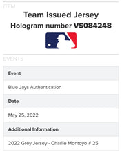 Load image into Gallery viewer, 46062172
