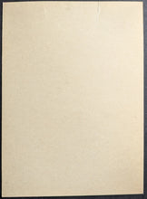 Load image into Gallery viewer, 44885686
