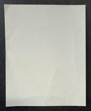 Load image into Gallery viewer, 47152827
