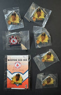 2004 MLB World Series Champion Boston Red Sox Boston Globe Pin Collection x25