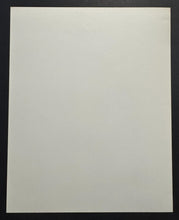 Load image into Gallery viewer, 43690066
