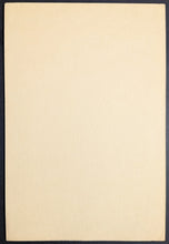 Load image into Gallery viewer, 47201884
