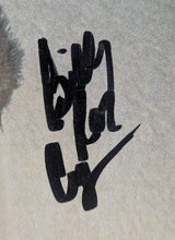 Load image into Gallery viewer, Billy Ray Cyrus Autographed Signed Magazine Photo JSA COA Country Music
