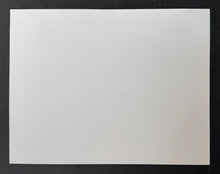 Load image into Gallery viewer, 47317912
