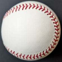 Load image into Gallery viewer, 47373791
