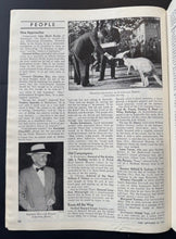 Load image into Gallery viewer, 44462788
