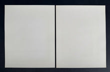 Load image into Gallery viewer, 44885705
