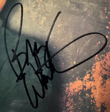 Load image into Gallery viewer, 43690079
