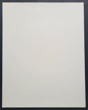 Load image into Gallery viewer, 47907849
