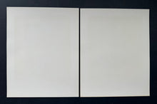 Load image into Gallery viewer, 44885639
