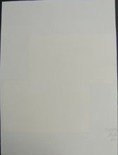Load image into Gallery viewer, 47750028
