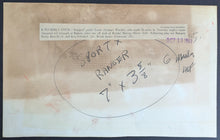 Load image into Gallery viewer, 45208798
