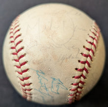 Load image into Gallery viewer, 47901317
