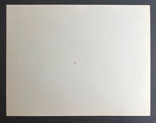 Load image into Gallery viewer, 47723373
