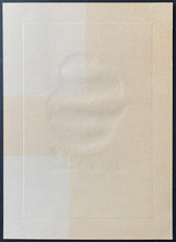 Load image into Gallery viewer, 45500147
