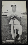 J.D. McCarthy Postcard + Master Type 1 Photo Of Blue Jays Doug Alt Vintage