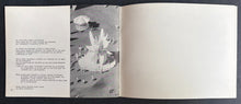 Load image into Gallery viewer, 47746240
