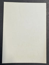 Load image into Gallery viewer, 43760315
