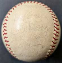 Load image into Gallery viewer, 47901317
