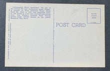Load image into Gallery viewer, 45312955
