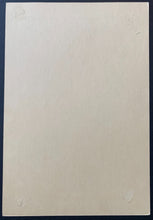 Load image into Gallery viewer, 44885628
