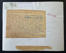 Load image into Gallery viewer, 43780186
