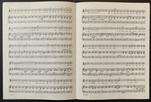 Load image into Gallery viewer, 45312929
