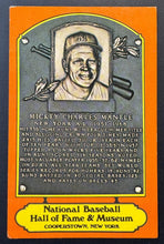 Load image into Gallery viewer, 43690131
